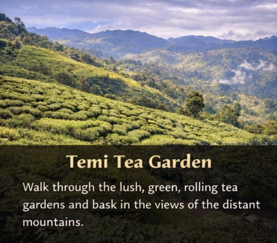 temi tea garden